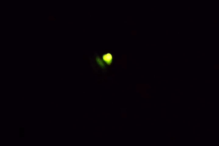 QW{^